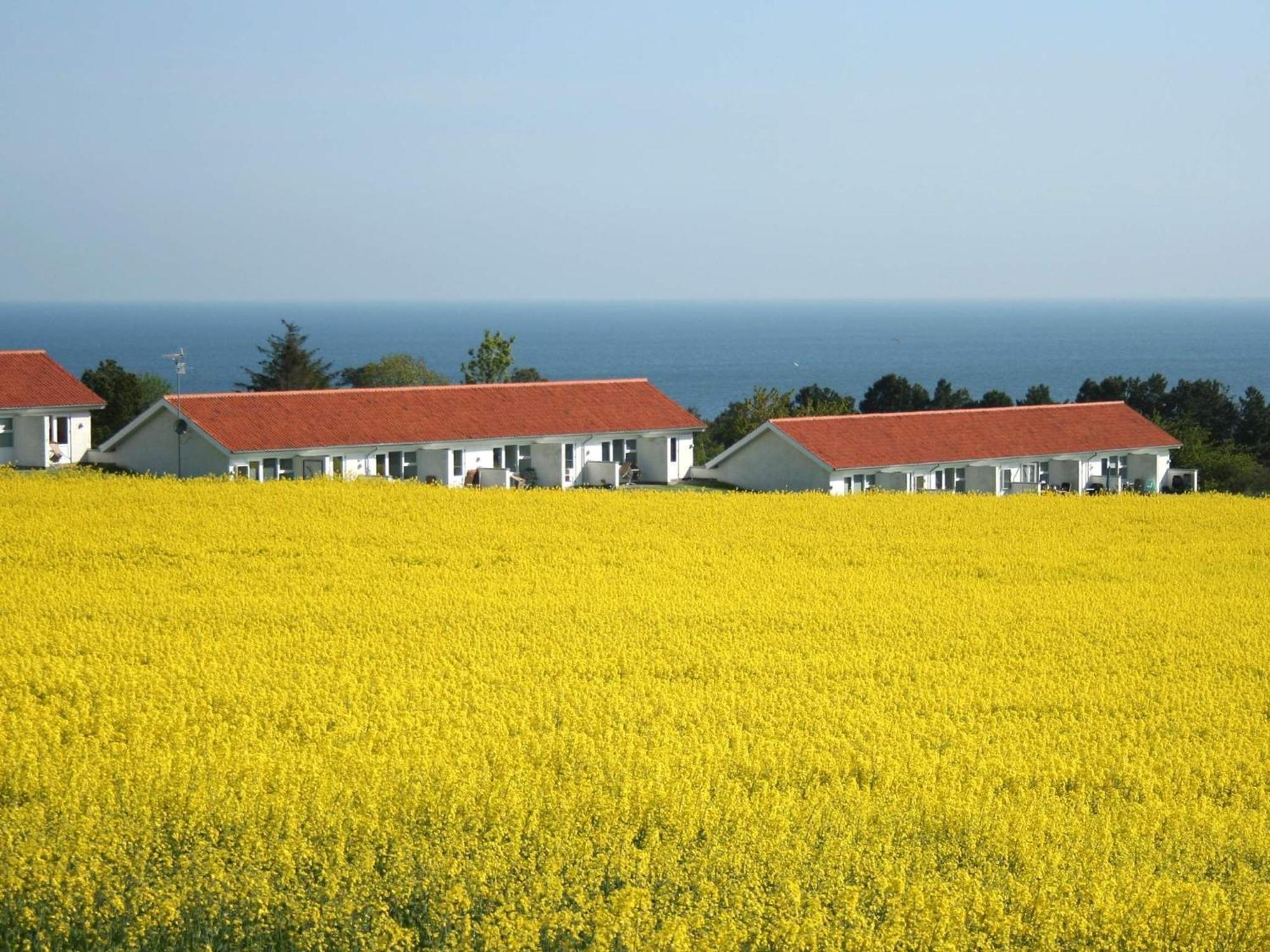 2 Person Holiday Home In Allinge Allinge-Sandvig Exterior foto